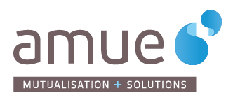 Logo AMUE - Mutualisation + solutions