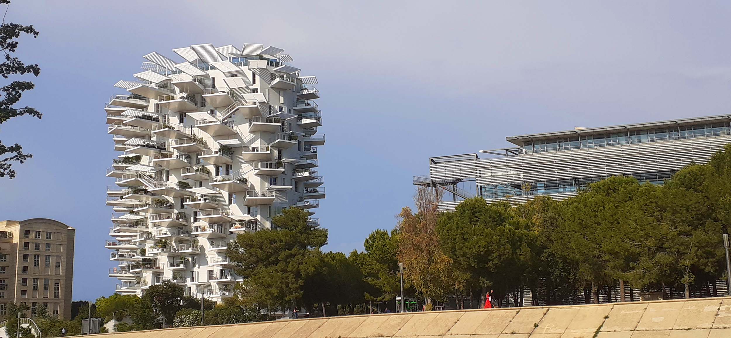 L'Arbre Blanc en Montpellier