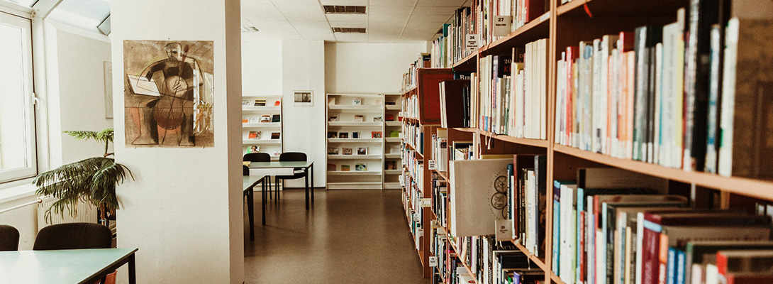 Library shelving with a picture on the wall